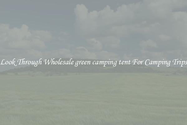 Look Through Wholesale green camping tent For Camping Trips