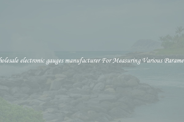 Wholesale electronic gauges manufacturer For Measuring Various Parameters