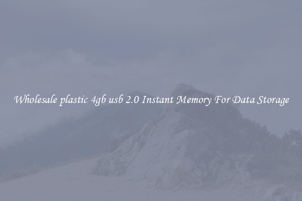 Wholesale plastic 4gb usb 2.0 Instant Memory For Data Storage