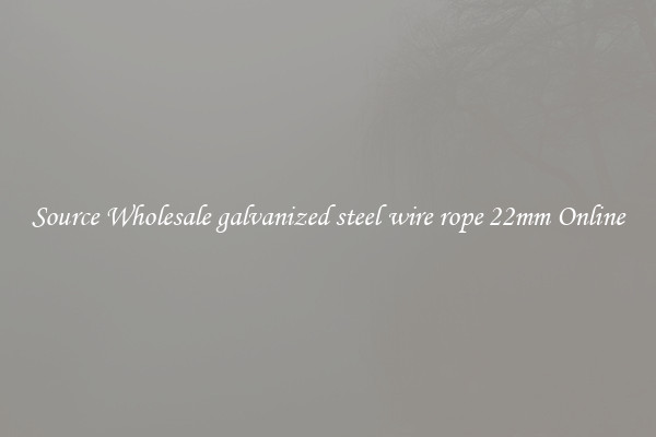 Source Wholesale galvanized steel wire rope 22mm Online