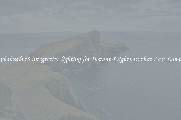 Wholesale t5 integrative lighting for Instant Brightness that Last Longer