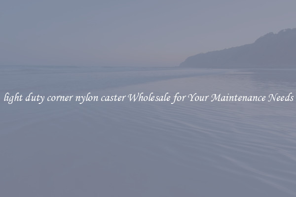 light duty corner nylon caster Wholesale for Your Maintenance Needs