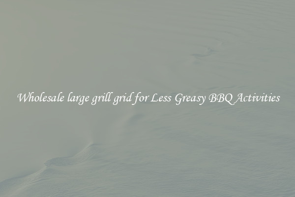Wholesale large grill grid for Less Greasy BBQ Activities