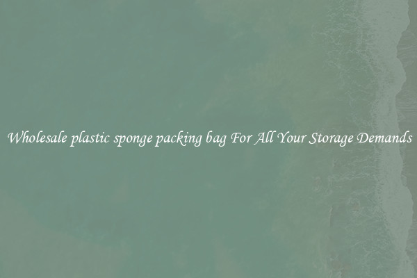 Wholesale plastic sponge packing bag For All Your Storage Demands