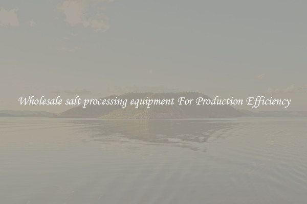 Wholesale salt processing equipment For Production Efficiency