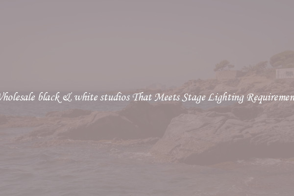Wholesale black & white studios That Meets Stage Lighting Requirements