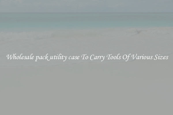 Wholesale pack utility case To Carry Tools Of Various Sizes