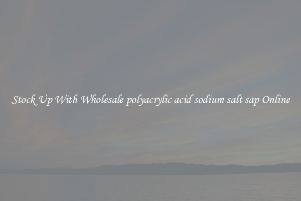 Stock Up With Wholesale polyacrylic acid sodium salt sap Online