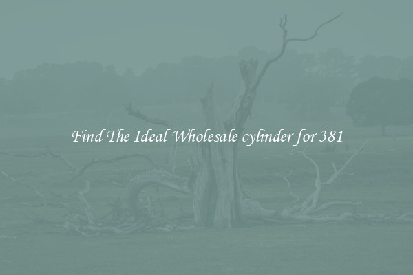 Find The Ideal Wholesale cylinder for 381
