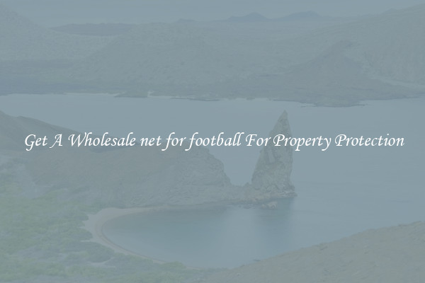 Get A Wholesale net for football For Property Protection