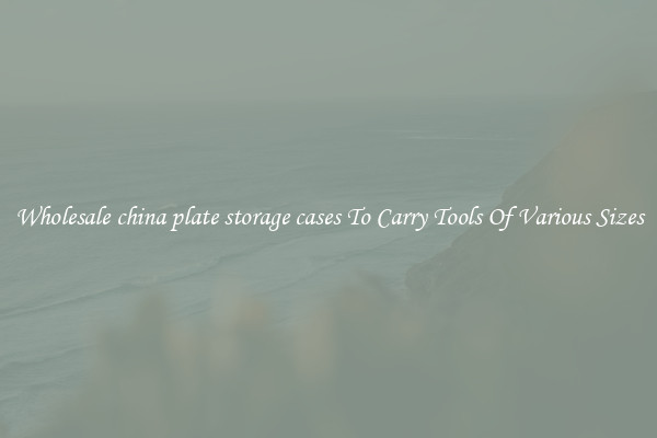 Wholesale china plate storage cases To Carry Tools Of Various Sizes