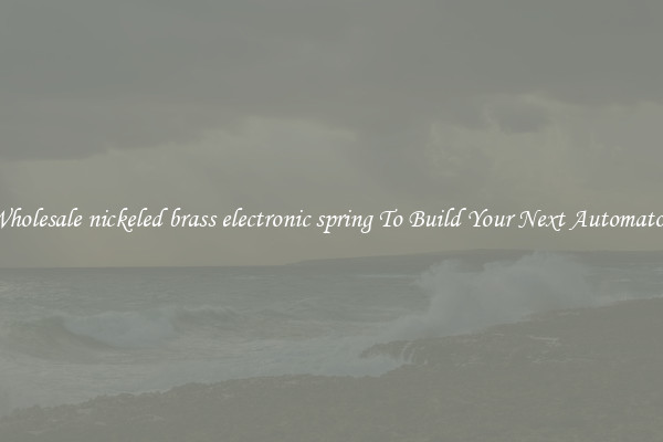 Wholesale nickeled brass electronic spring To Build Your Next Automaton