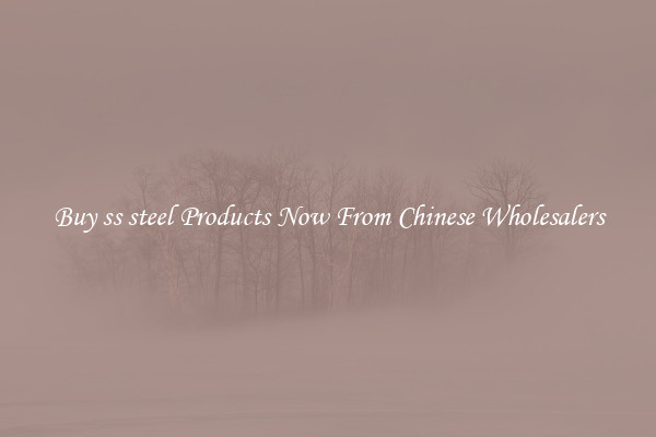 Buy ss steel Products Now From Chinese Wholesalers