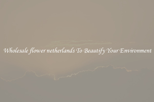 Wholesale flower netherlands To Beautify Your Environment