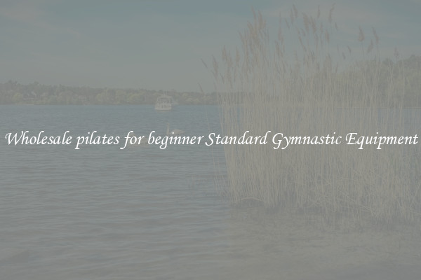 Wholesale pilates for beginner Standard Gymnastic Equipment