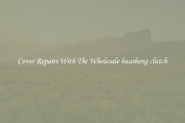  Cover Repairs With The Wholesale huasheng clutch 